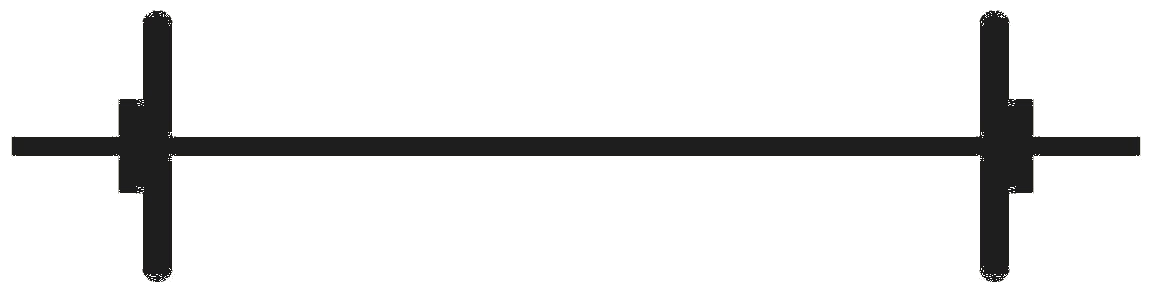 PLST — Physio-Led Strength Training